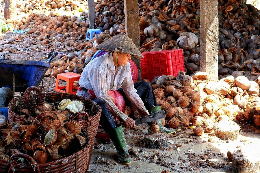 A Vietnamese woman working with coconuts in the Mekong Delta