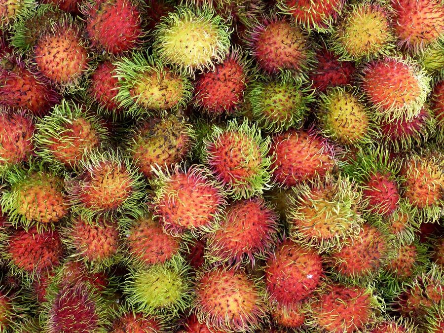 Tropical fruit on display at a market in Vietnam